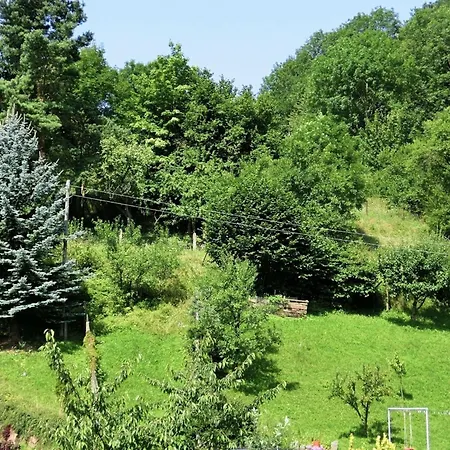 Apartment In The Thuringian Forest *