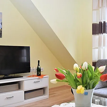 Apartment In The Thuringian Forest