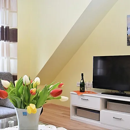 In The Thuringian Forest Apartment *
