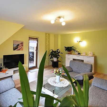 Apartment In The Thuringian Forest *