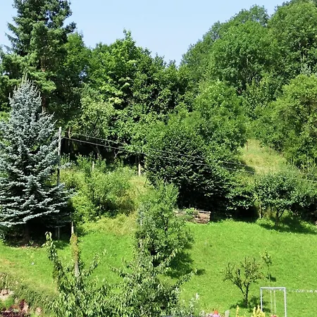 Apartman In The Thuringian Forest *
